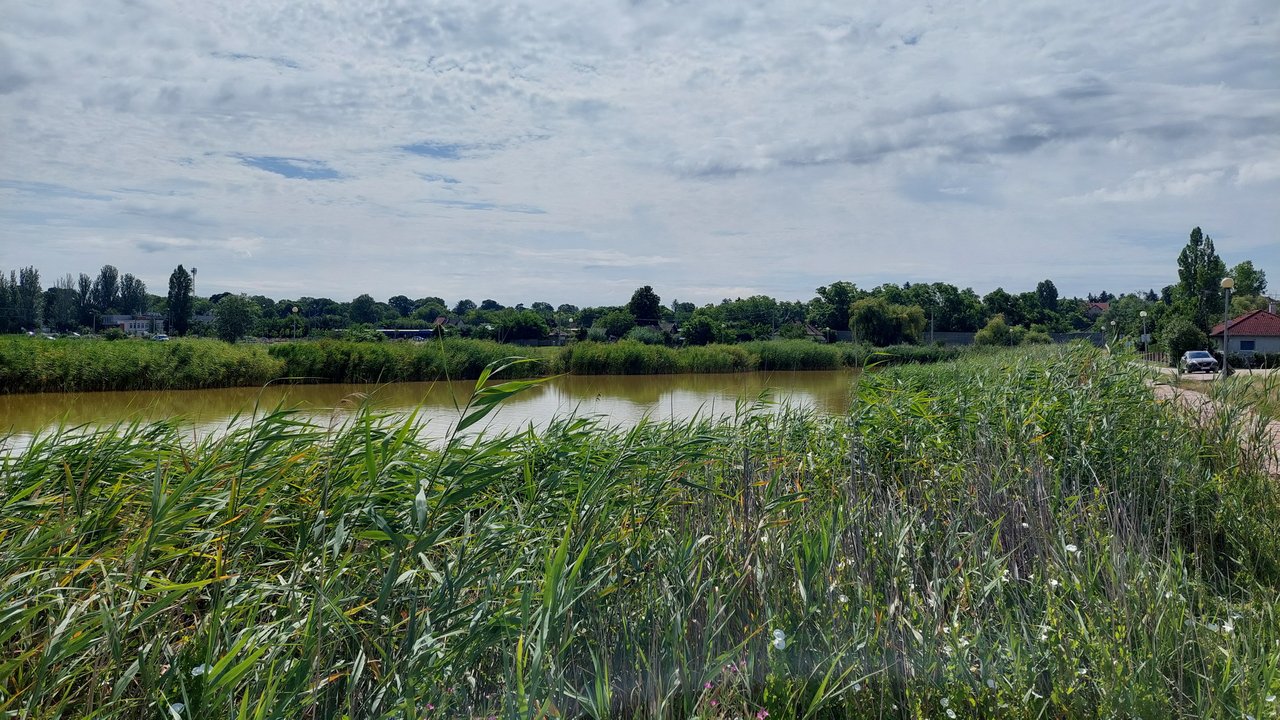 20230707_095002