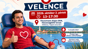 Tartalom borítóképe