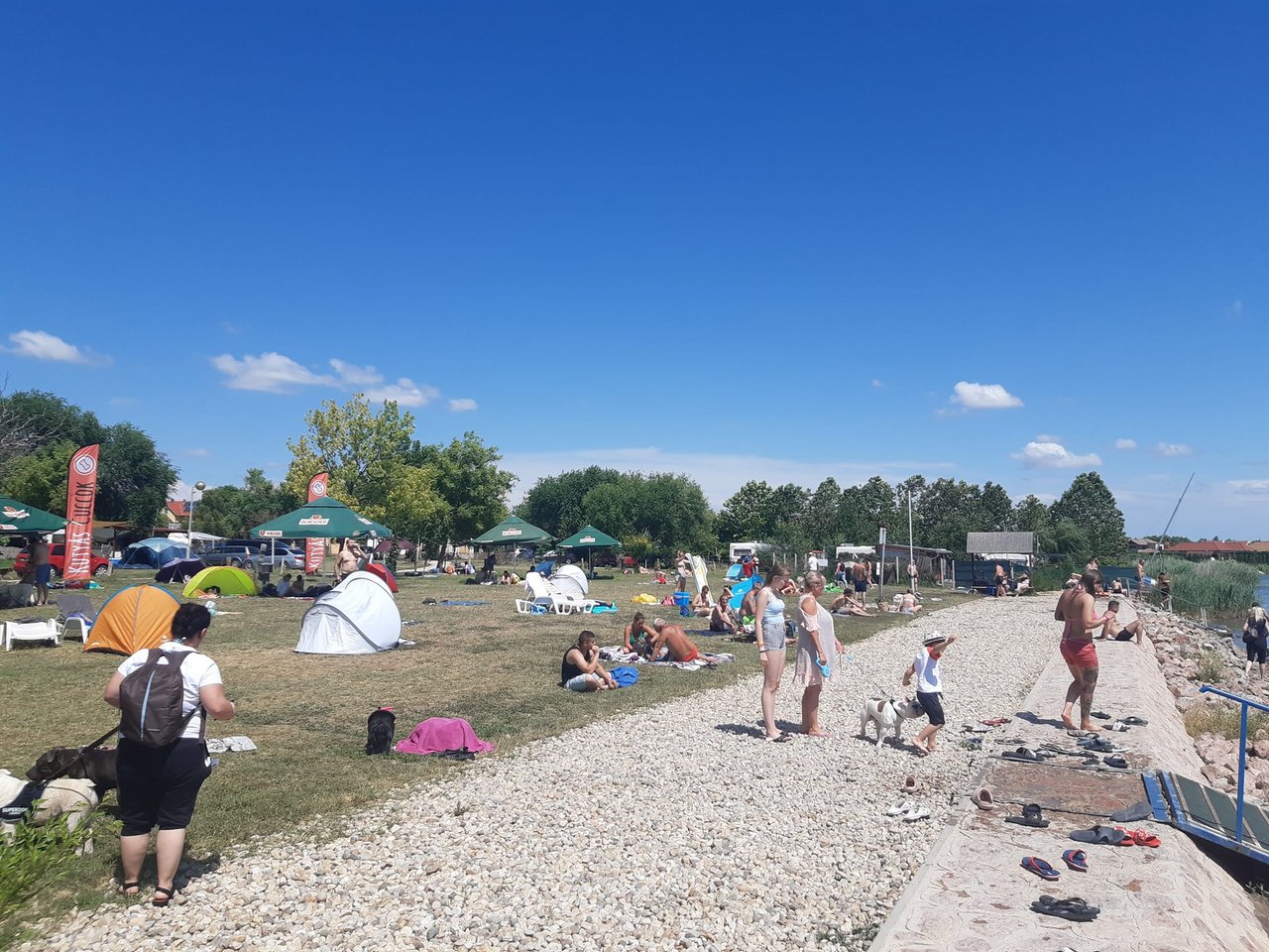 drotszamar_001