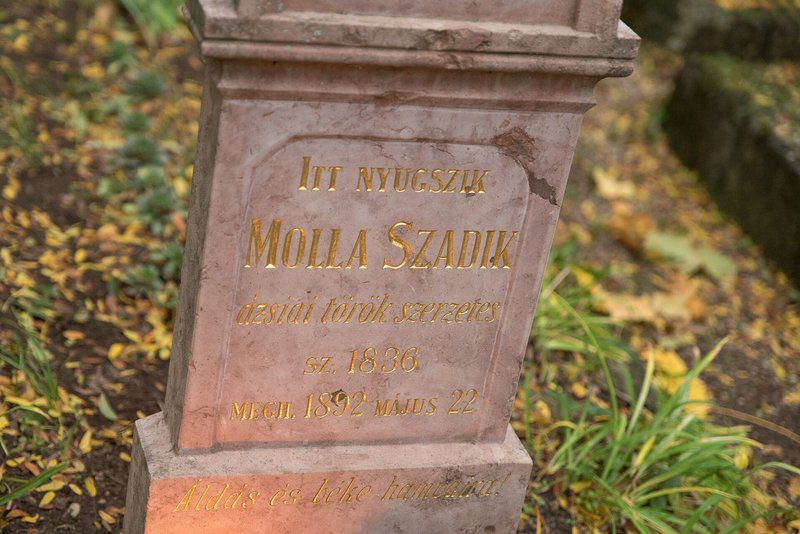 koszoruzas (39)