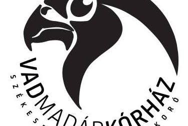 Tartalom ajánlóképe