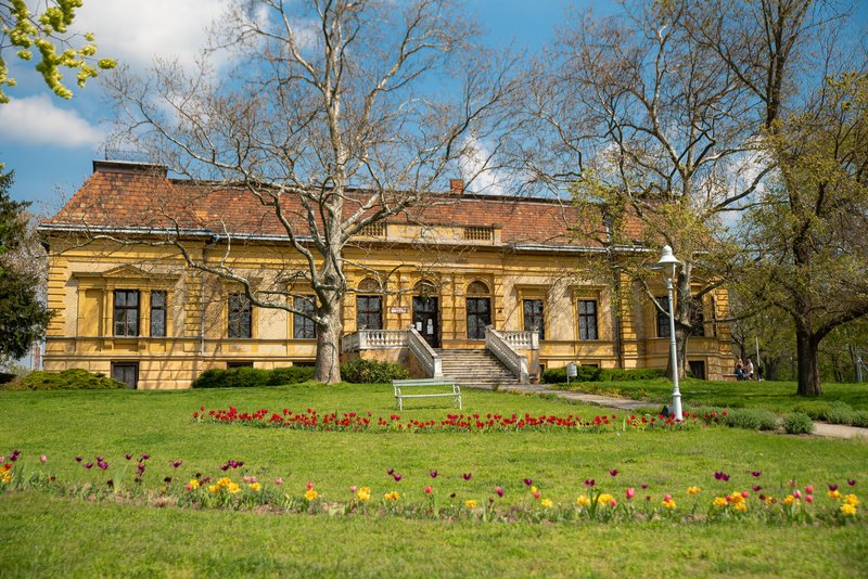 viragzas (6)
